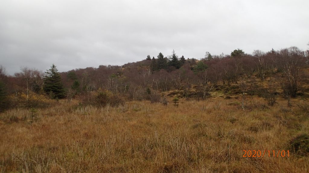 Fra turstien til Skeibrokrøysa, oppover mot Skeibrok 86/1
