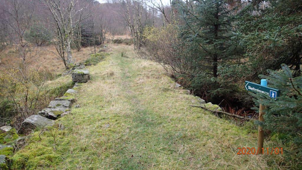 Videre stien opp mot Skeibrokrøysa - fra Hervoll-siden
