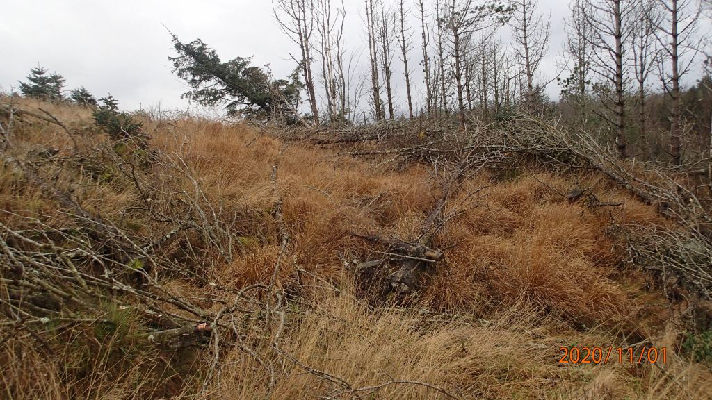 På vei opp mot Skeibrokrøysa fra nordvest. Pris 1180
